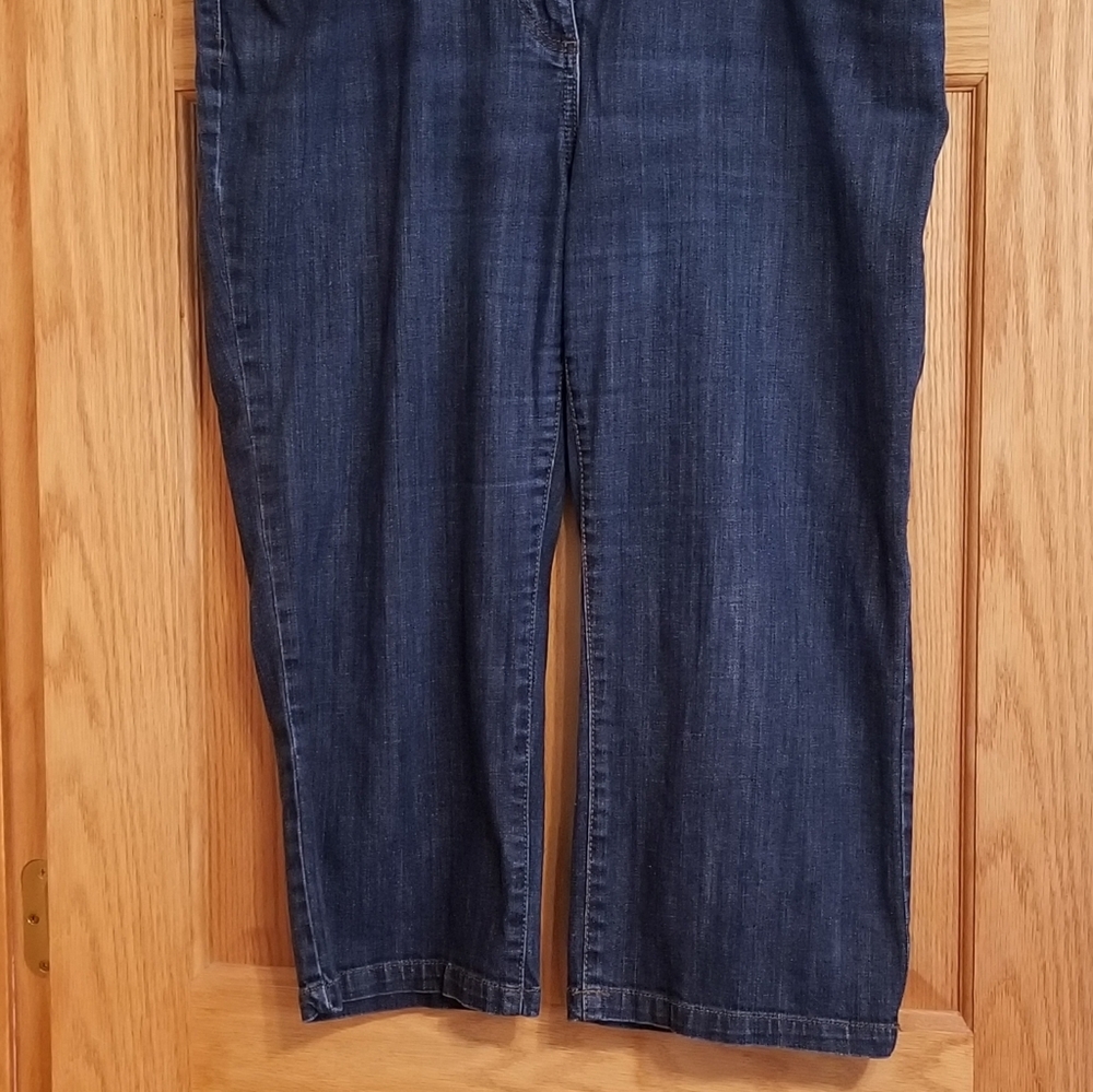 Dana Buckman Capri Jeans. Lots of life left!